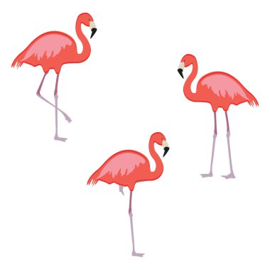Pembe flamingo raster