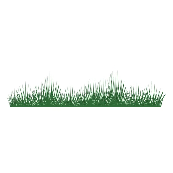 Raiz de grama verde — Fotografia de Stock