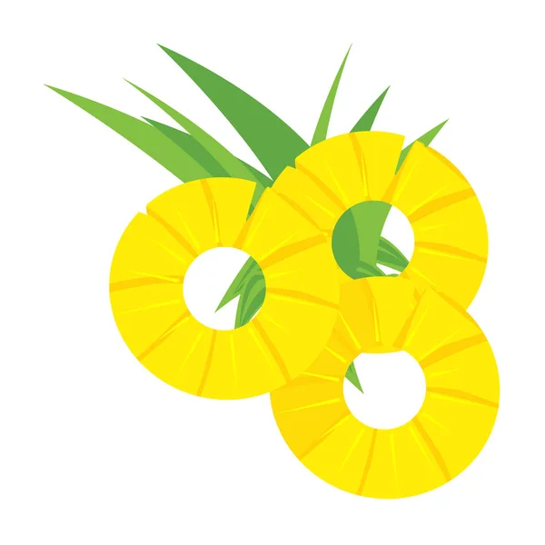 Διάνυσμα φέτα ανανά — Διανυσματικό Αρχείο