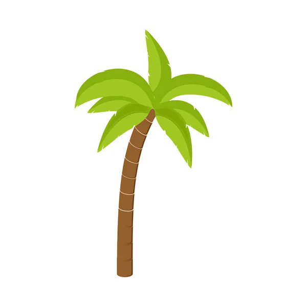 Palmetrær vektor – stockvektor