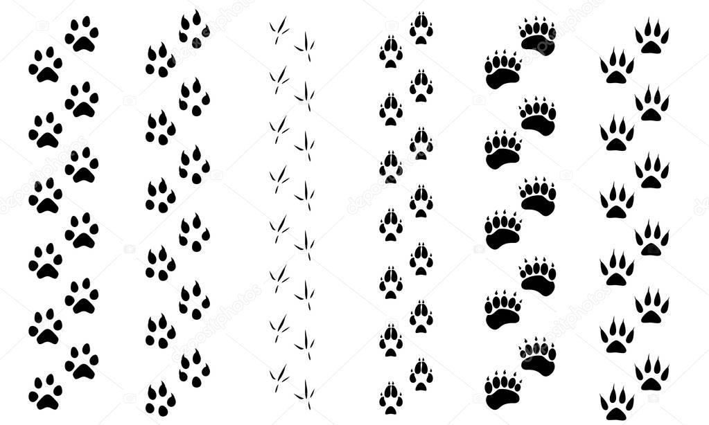 Animal footprints raster