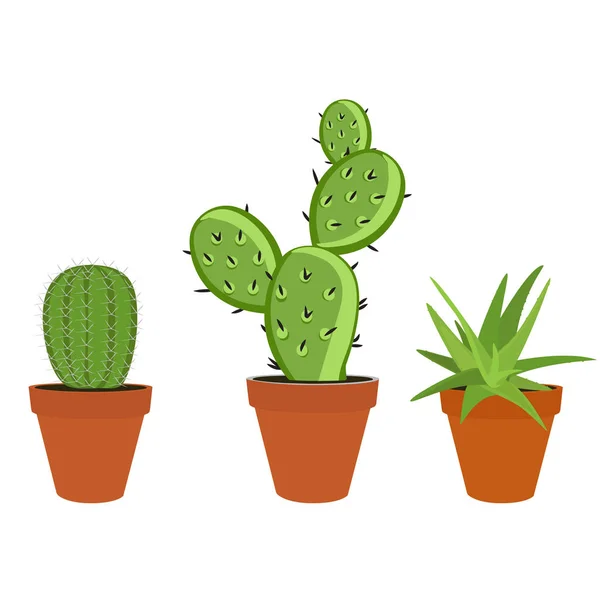 Cactus conjunto icono — Vector de stock