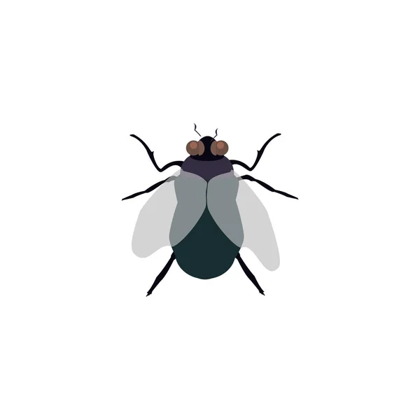 Vettore di insetti volanti — Vettoriale Stock