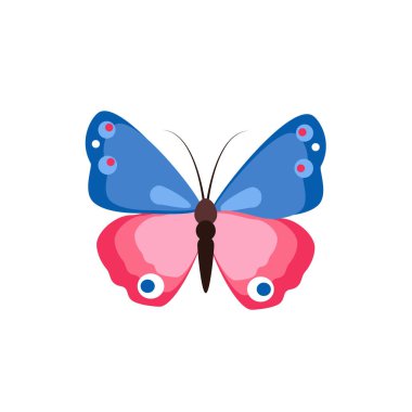 Kelebek raster bahar