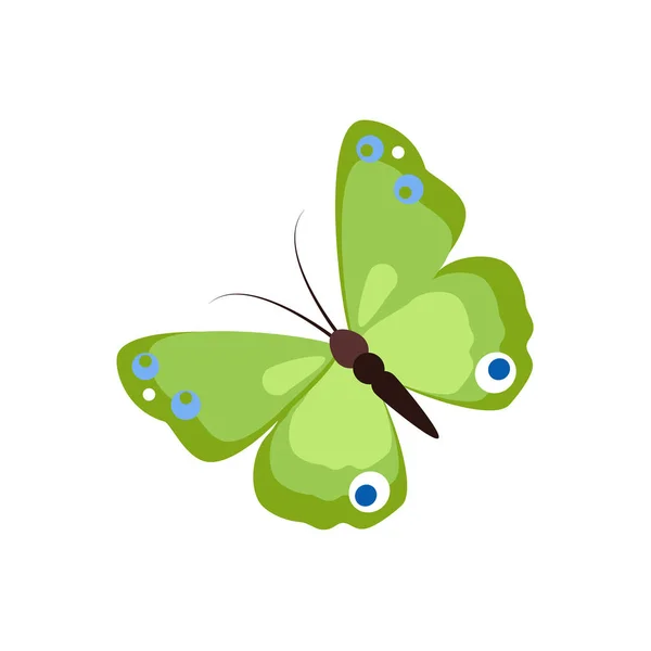 Schmetterlingsvektorfeder — Stockvektor