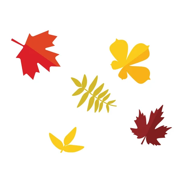 Set foglie autunnali — Foto Stock