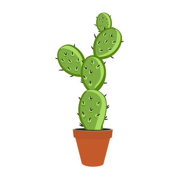 Planta de cactus raster — Foto de Stock
