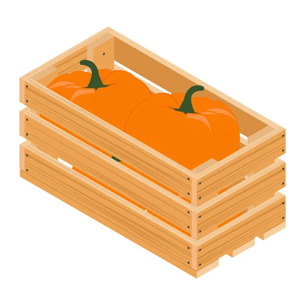 Citrouilles dans la caisse — Image vectorielle