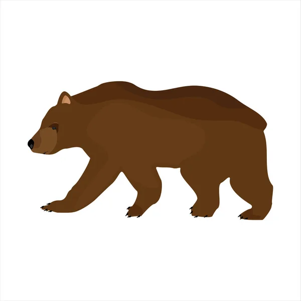 Niedźwiedź brunatny wektor — Wektor stockowy