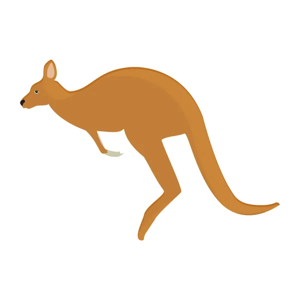 Kangoeroe dieren dierentuin — Stockvector