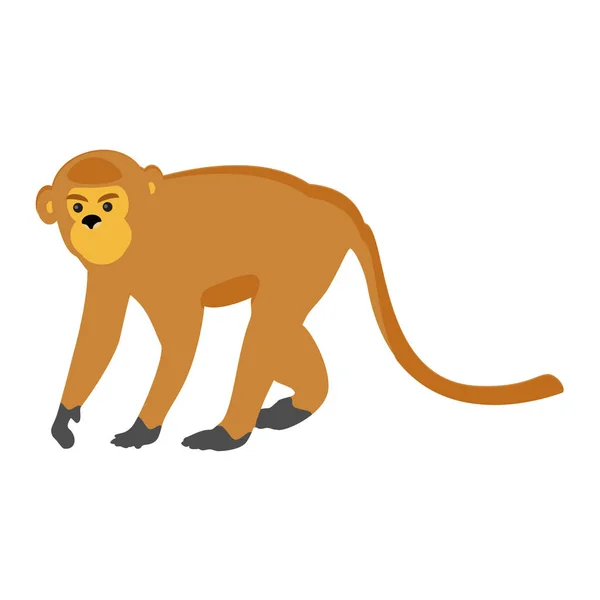 Dieren dierentuin aap — Stockvector