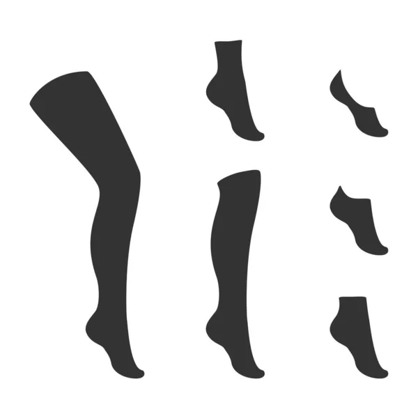 袜子的种类收集 无形的 额外的低割伤 低割伤 四分之一 轻度小腿 膝盖高 膝盖以上和高脚袜 — 图库照片
