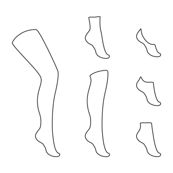 袜子的种类收集 无形的 额外的低割伤 低割伤 四分之一 轻度小腿 膝盖高 膝盖以上和高脚袜 — 图库照片