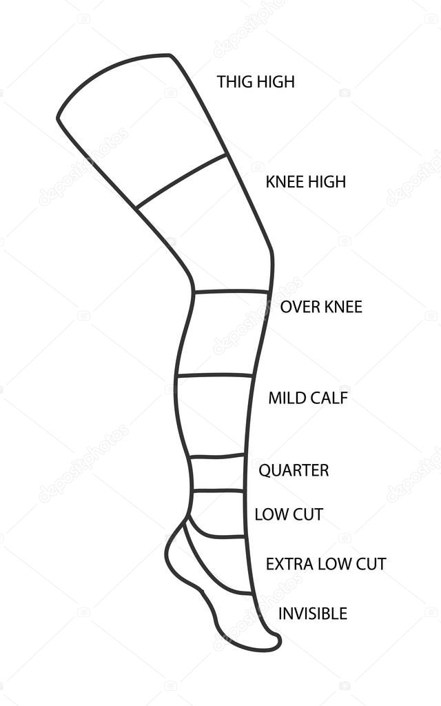 Types of socks collection. Invisible, extra low cut, low cut, quarter, mild calf, knee high, over knee and thig high socks.