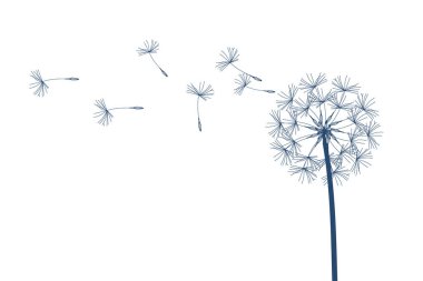 Karahindiba raster. Bir dilek tut. Basit minimalist stil.