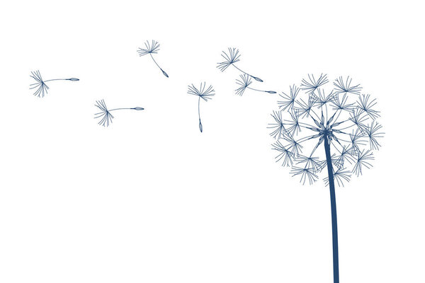 Dandelion raster. Make a Wish. Simple minimalist style.