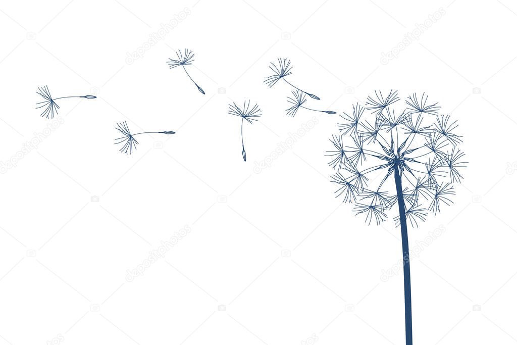 Dandelion raster. Make a Wish. Simple minimalist style.