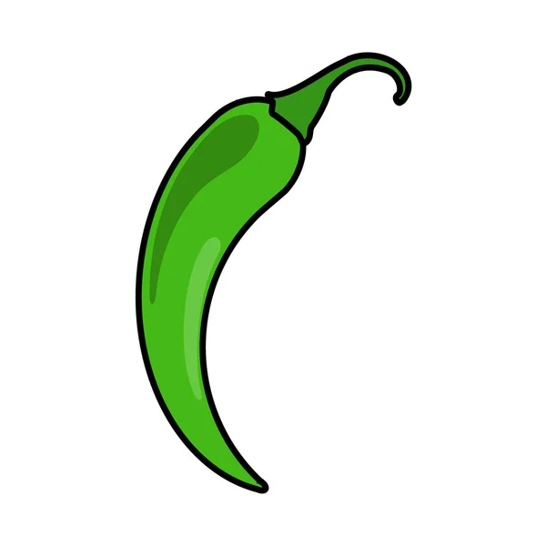 Chili Peppar Grön Hot Pepper Ikon Isolerad Vit Bakgrund Vektorillustration — Stock vektor