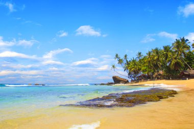 Güneşli bir günde güzel manzara Sri Lanka beach