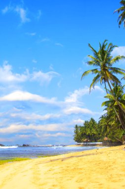 Güneşli bir günde güzel manzara Sri Lanka beach