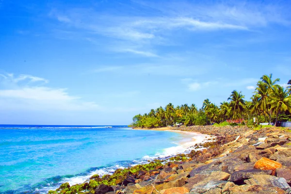 Güneşli bir günde güzel manzara Sri Lanka beach