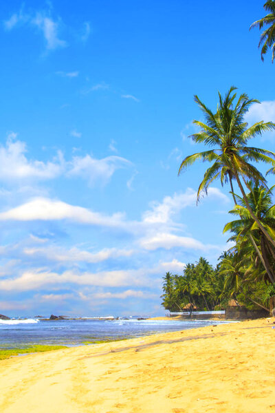 Beautiful view of the beach of Sri Lanka on a sunny day