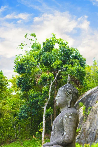 Boeddhabeeld tegen een tropisch bos in Sri Lanka — Stockfoto