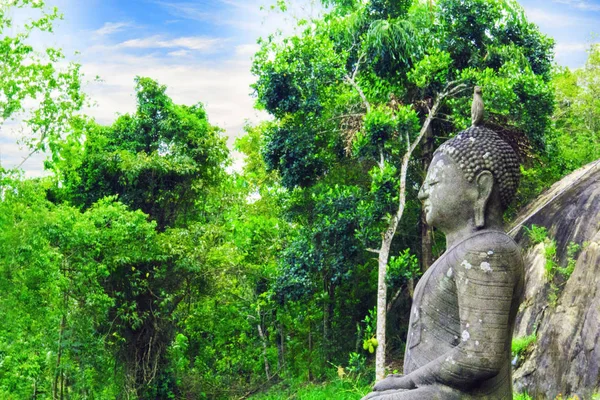 Boeddhabeeld tegen een tropisch bos in Sri Lanka — Stockfoto