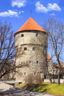 Tallinn, Estonya Kik-de-de-Kk kulede güzel manzarasına güneşli bir günde