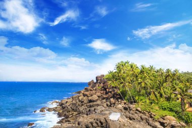 Güneşli bir günde güzel manzara Sri Lanka tropikal plaj