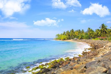 Güneşli bir günde güzel manzara Sri Lanka beach