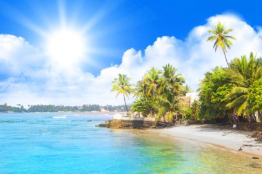 Beautiful view of the beach of Sri Lanka on a sunny day clipart