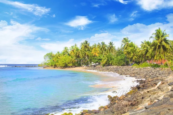 화창한 날에 스리랑카 해변의 아름 다운 보기 — 스톡 사진
