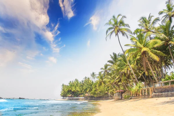 Vacker Utsikt Den Beach Sri Lanka Solig Dag — Stockfoto
