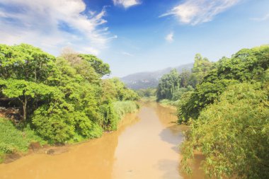 Nehri'nin güzel manzaralarını Kraliyet Botanik Bahçesi Kandy, Sri Lanka oteller