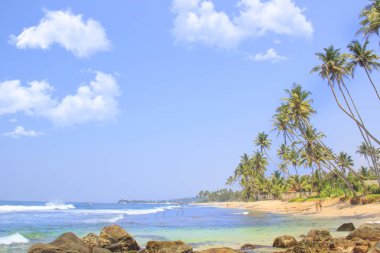 Güneşli bir günde güzel manzara Sri Lanka tropikal plaj