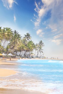 Beautiful view of the tropical beach of Sri Lanka on a sunny day clipart