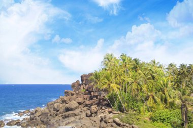 Güneşli bir günde güzel manzara Sri Lanka tropikal plaj