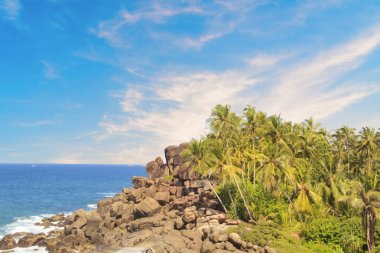 Güneşli bir günde güzel manzara Sri Lanka tropikal plaj