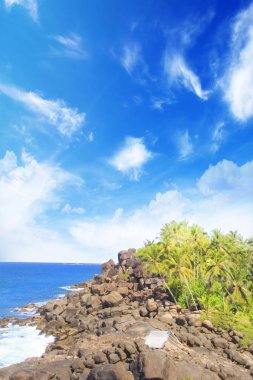 Güneşli bir günde güzel manzara Sri Lanka tropikal plaj