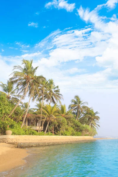 Vacker Utsikt Den Tropiska Stranden Sri Lanka Solig Dag — Stockfoto