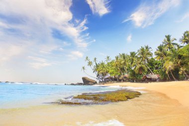 Güneşli bir günde güzel manzara Sri Lanka tropikal plaj