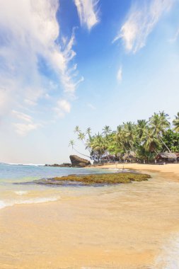 Güneşli bir günde güzel manzara Sri Lanka tropikal plaj