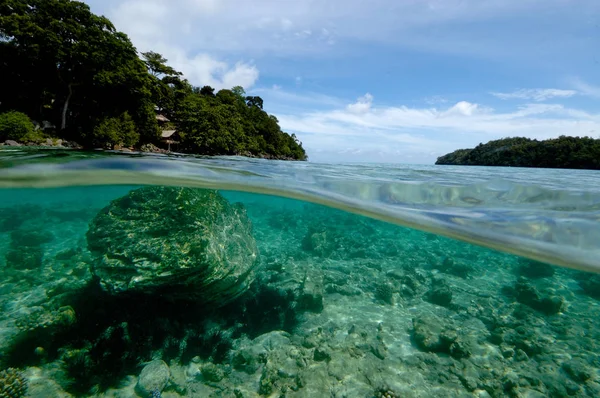 Тропічний острів Ачех Індонезії підводного плавання — стокове фото