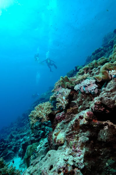 Tehlikeli derecede güzel aceh Endonezya tüplü dalış dalış — Stok fotoğraf