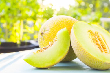 Taze tatlı yeşil kavun