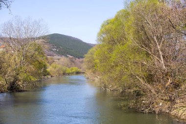 Güneşli bahar gününde nehrin kıyısındaki ağaçlar