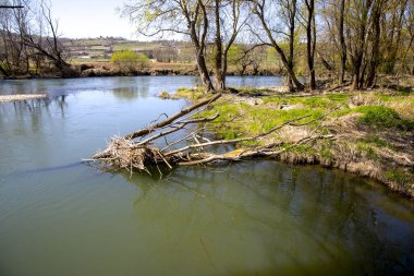 Bahar mevsiminde nehir ve ağaçlar