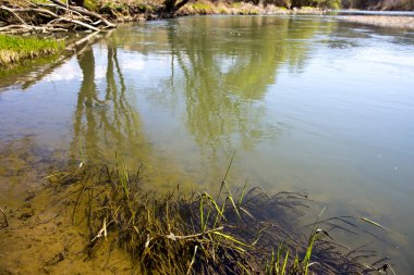 Bahar mevsiminde nehir ve ağaçlar