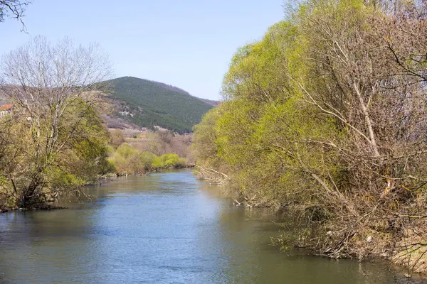 Güneşli bahar gününde nehrin kıyısındaki ağaçlar